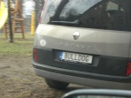 Numurbilde BULLDOG