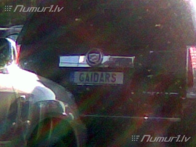 Numurbilde GAIDARS
