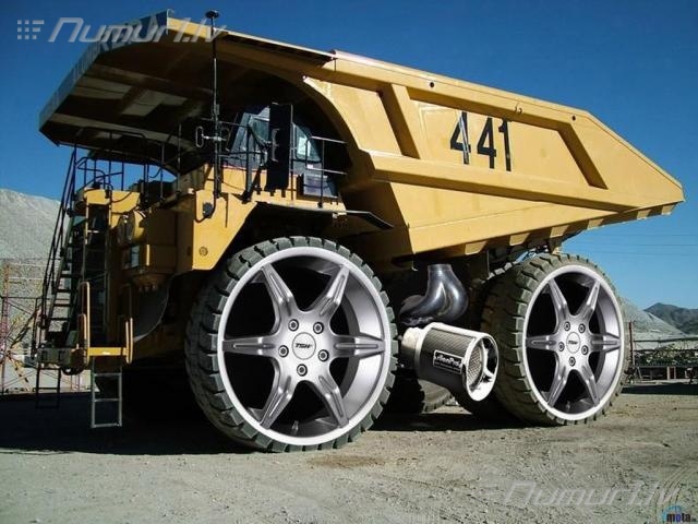 Numurbilde 441