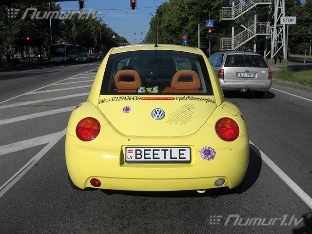 Numurbilde BEETLE