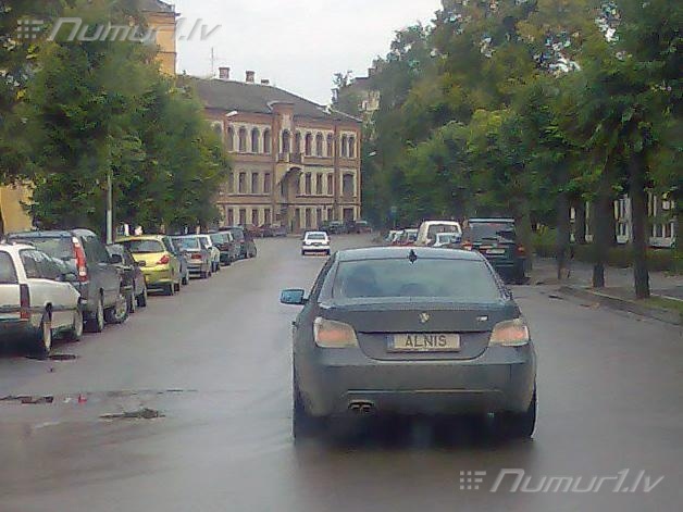 Numurbilde ALNIS