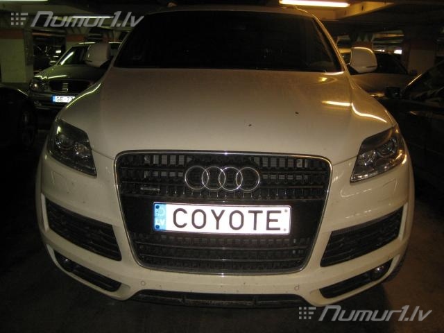 Numurbilde COYOTE