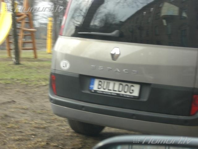 Numurbilde BULLDOG