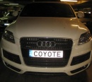 Numurbilde COYOTE