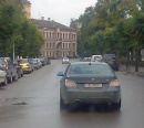 Numurbilde ALNIS
