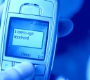 Satiksmes ministrija plāno ieviest nodevu par īsā telefona numura lietošanu