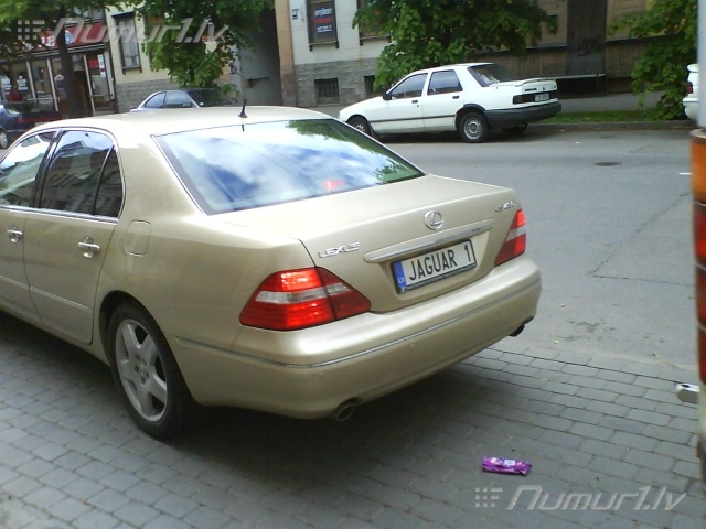 Numurbilde JAGUAR 1